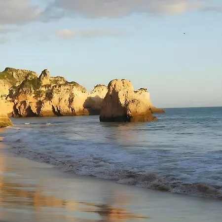 Ocean Algarve 알보르
